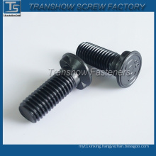 China Manufacture High Quality Black Csk Head Nib Bolts / Plough Bolts with Nib